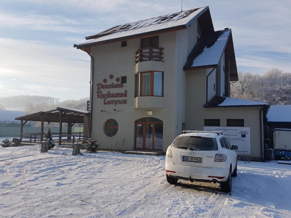 Pensiunea Larysse Băile Felix Exterior photo