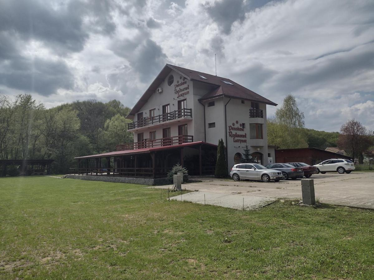 Pensiunea Larysse Băile Felix Exterior photo