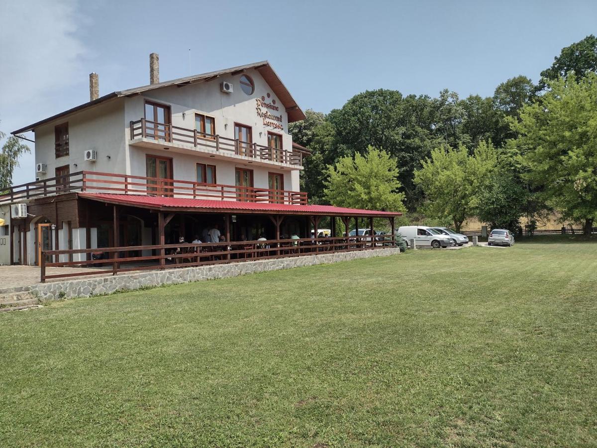 Pensiunea Larysse Băile Felix Exterior photo